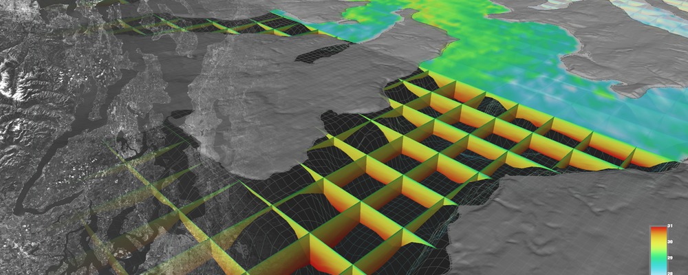 Scientific Visualization