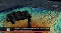 PBS News Hour on Axial Volcano